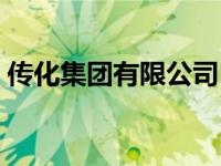 传化集团有限公司（传化集团有限公司官网）