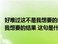 好难过这不是我想要的结果是哪首歌的歌词（好难过 这不是我想要的结果 这句是什么歌歌词）