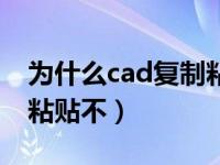 为什么cad复制粘贴不成功（为什么cad复制粘贴不）