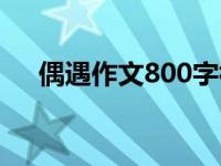 偶遇作文800字初三（偶遇作文800字）