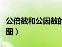 公倍数和公因数的概念（公因数公倍数思维导图）