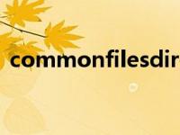 commonfilesdir是什么（common files）