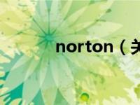 norton（关于norton的介绍）