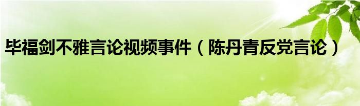 毕福剑不雅言论视频事件（陈丹青反党言论）