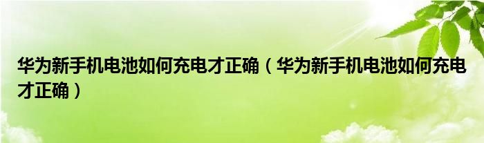 华为新手机电池如何充电才正确（华为新手机电池如何充电才正确）