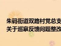 朱码街道双路村党总支关于巡察反馈问题整改情况的报告（关于巡察反馈问题整改情况的报告）