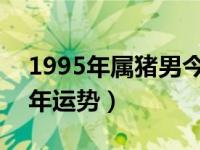 1995年属猪男今年运势（1995年属猪2021年运势）