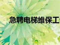 急聘电梯维保工包吃住（急聘电工一名）