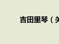 吉田里琴（关于吉田里琴的介绍）