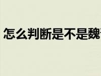 怎么判断是不是魏晋风（到底魏晋风是啥风）