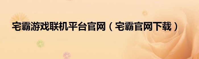 宅霸游戏联机平台官网（宅霸官网下载）