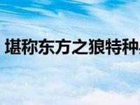 堪称东方之狼特种兵的电影（堪称东方之狼）