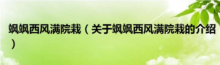 飒飒西风满院栽（关于飒飒西风满院栽的介绍）