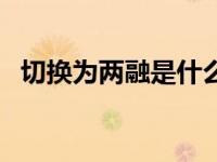 切换为两融是什么意思（两融是什么意思）