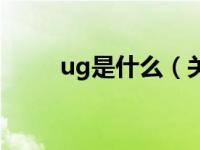 ug是什么（关于ug是什么的介绍）