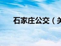 石家庄公交（关于石家庄公交的介绍）