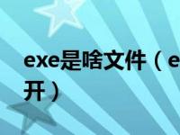 exe是啥文件（exe是什么文件用什么程序打开）