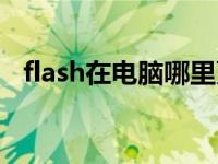 flash在电脑哪里更新（flash在电脑哪里）