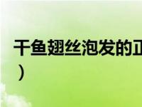 干鱼翅丝泡发的正确方法（干鱼翅的家常做法）