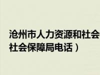 沧州市人力资源和社会保障局官网招聘（沧州市人力资源和社会保障局电话）