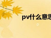 pv什么意思呢（pv什么意思）