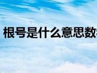 根号是什么意思数学符号（根号是什么意思）