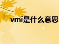 vmi是什么意思中文（vmi是什么意思）