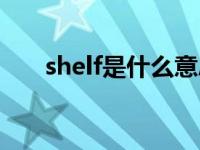 shelf是什么意思（shelf是什么意思）