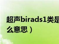 超声birads1类是什么意思（bi rads1类是什么意思）