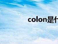 colon是什么意思（colon）