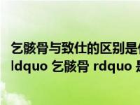 乞骸骨与致仕的区别是什么（古文中 ldquo 致仕 rdquo 和 ldquo 乞骸骨 rdquo 是什么意思）