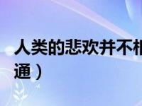 人类的悲欢并不相通原文（人类的悲欢并不相通）