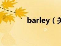 barley（关于barley的介绍）