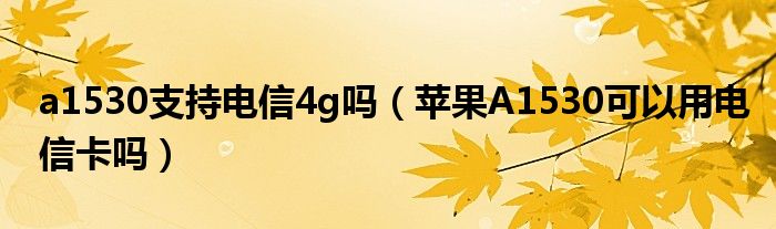 a1530支持电信4g吗（苹果A1530可以用电信卡吗）