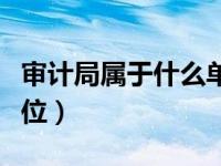 审计局属于什么单位性质（审计局属于什么单位）