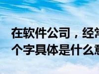 在软件公司，经常有人提到DU  BG  BU这三个字具体是什么意思。