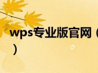 wps专业版官网（wps专业版和个人版的区别）