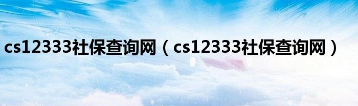 cs12333社保查询网（cs12333社保查询网）