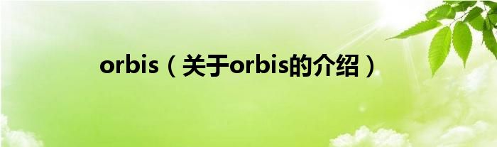 orbis（关于orbis的介绍）