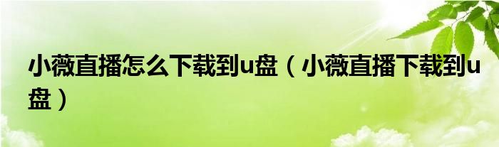 小薇直播怎么下载到u盘（小薇直播下载到u盘）