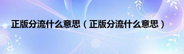 正版分流什么意思（正版分流什么意思）