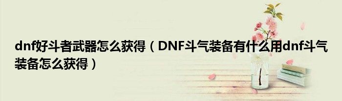 dnf好斗者武器怎么获得（DNF斗气装备有什么用dnf斗气装备怎么获得）