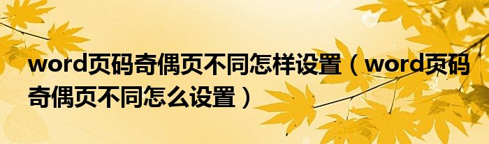 word页码奇偶页不同怎样设置（word页码奇偶页不同怎么设置）