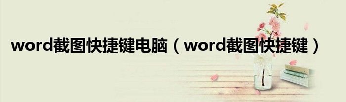 word截图快捷键电脑（word截图快捷键）