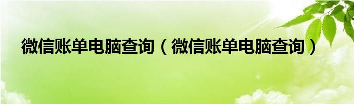 微信账单电脑查询（微信账单电脑查询）