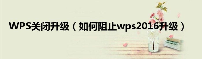 WPS关闭升级（如何阻止wps2016升级）