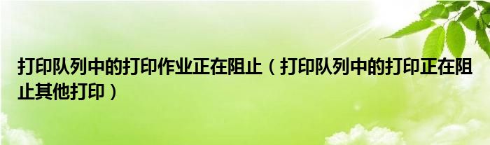 打印队列中的打印作业正在阻止（打印队列中的打印正在阻止其他打印）