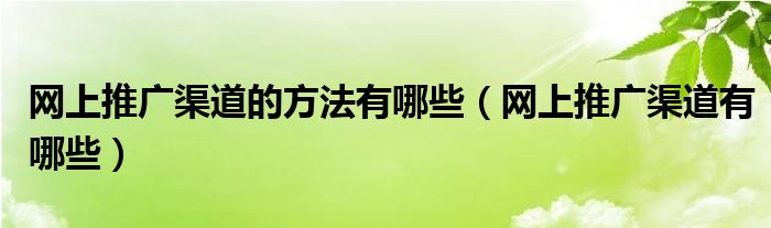 网上推广渠道的方法有哪些（网上推广渠道有哪些）