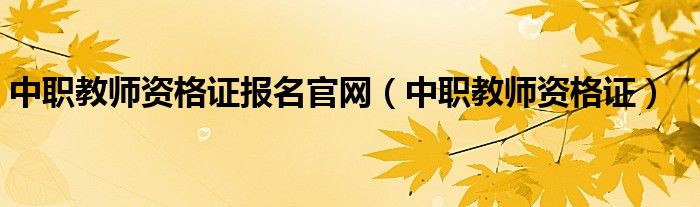 中职教师资格证报名官网（中职教师资格证）