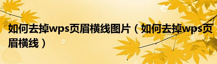 如何去掉wps页眉横线图片（如何去掉wps页眉横线）